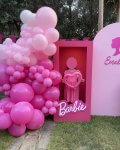 Barbie Πάρτυ PhotoBooth . Πάρτυ θέμα Barbie