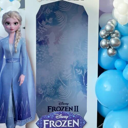 Frozen Πάρτυ PhotoBooth. Πάρτυ θέμα Frozen ΈΛΣΑ